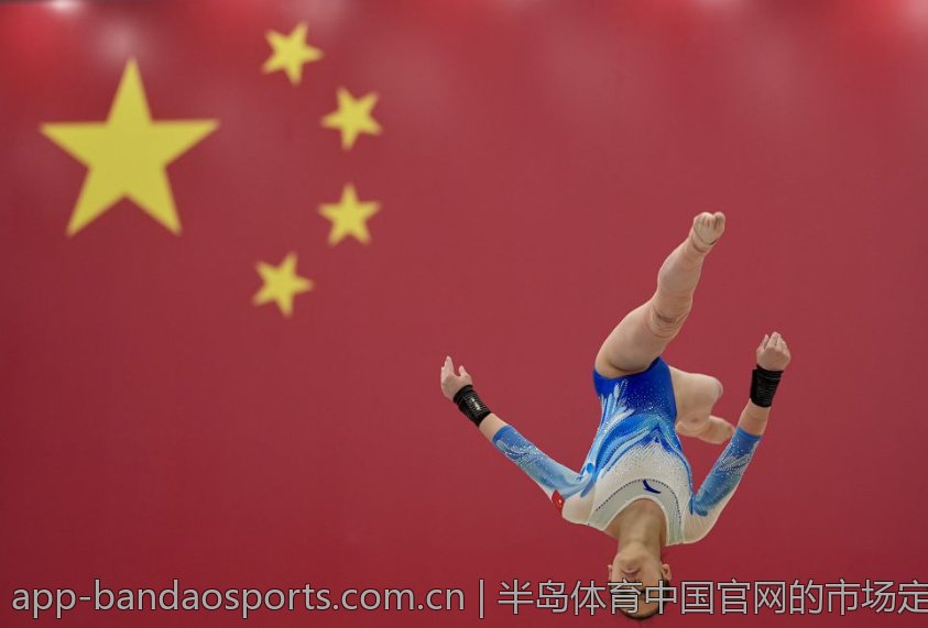 半岛体育中国官网的市场定位与影响力