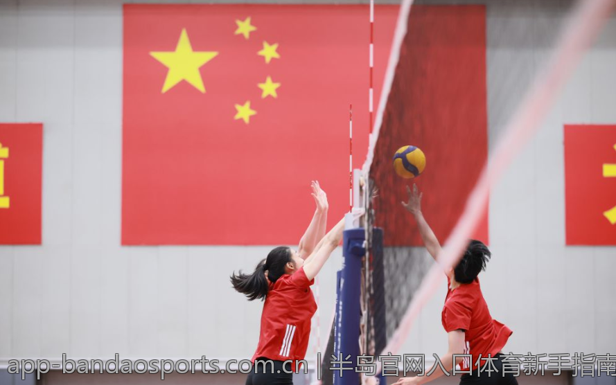 半岛官网入口体育新手指南