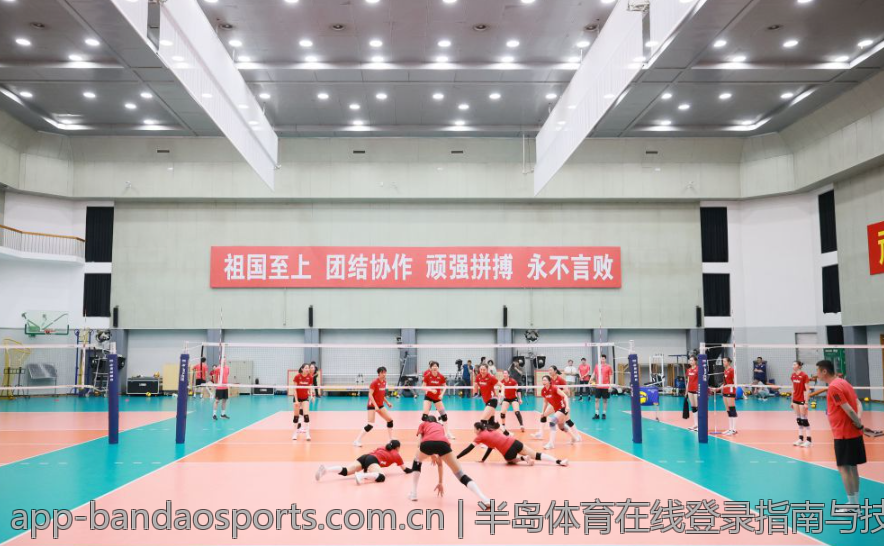 半岛体育在线登录指南与技巧